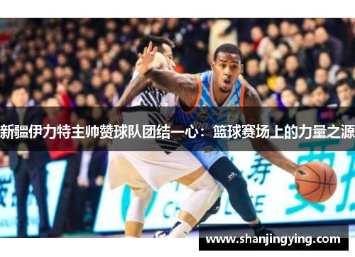 新疆伊力特主帅赞球队团结一心：篮球赛场上的力量之源