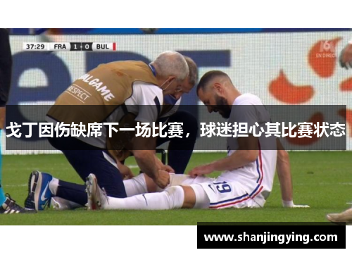 戈丁因伤缺席下一场比赛，球迷担心其比赛状态