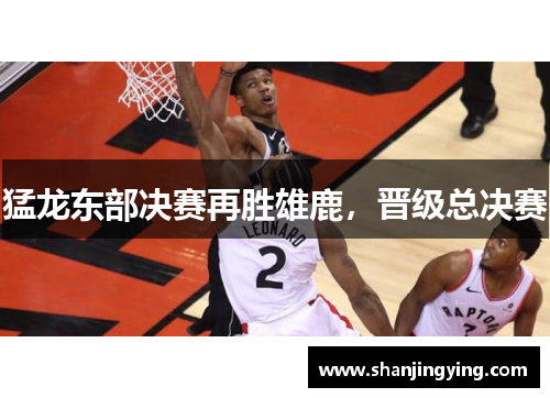 猛龙东部决赛再胜雄鹿，晋级总决赛