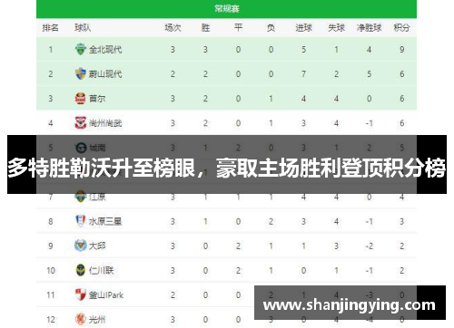 多特胜勒沃升至榜眼，豪取主场胜利登顶积分榜