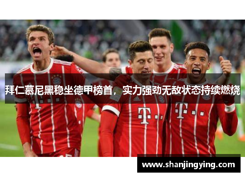 拜仁慕尼黑稳坐德甲榜首，实力强劲无敌状态持续燃烧