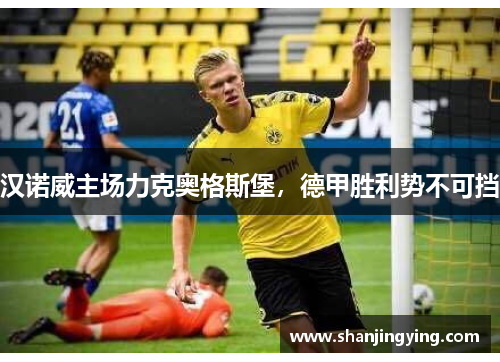 汉诺威主场力克奥格斯堡，德甲胜利势不可挡