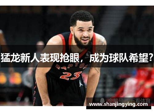 猛龙新人表现抢眼，成为球队希望？