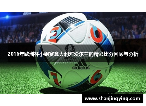 2016年欧洲杯小组赛意大利对爱尔兰的精彩比分回顾与分析