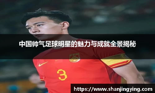中国帅气足球明星的魅力与成就全景揭秘
