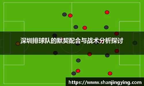 深圳排球队的默契配合与战术分析探讨